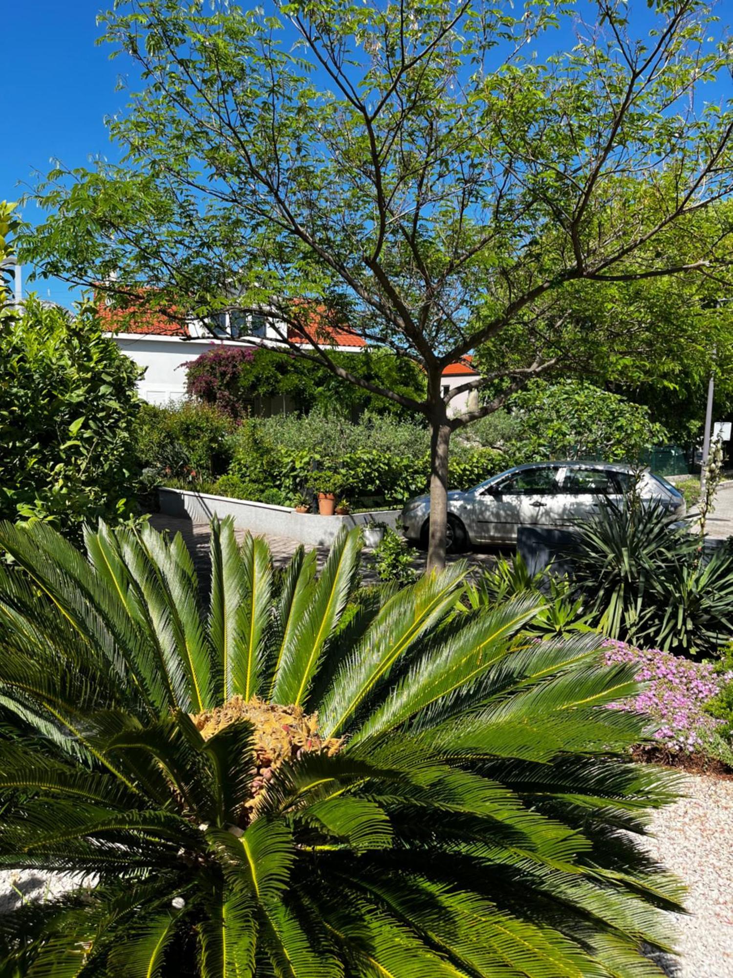 Tianri Apartment Đảo Korčula Ngoại thất bức ảnh